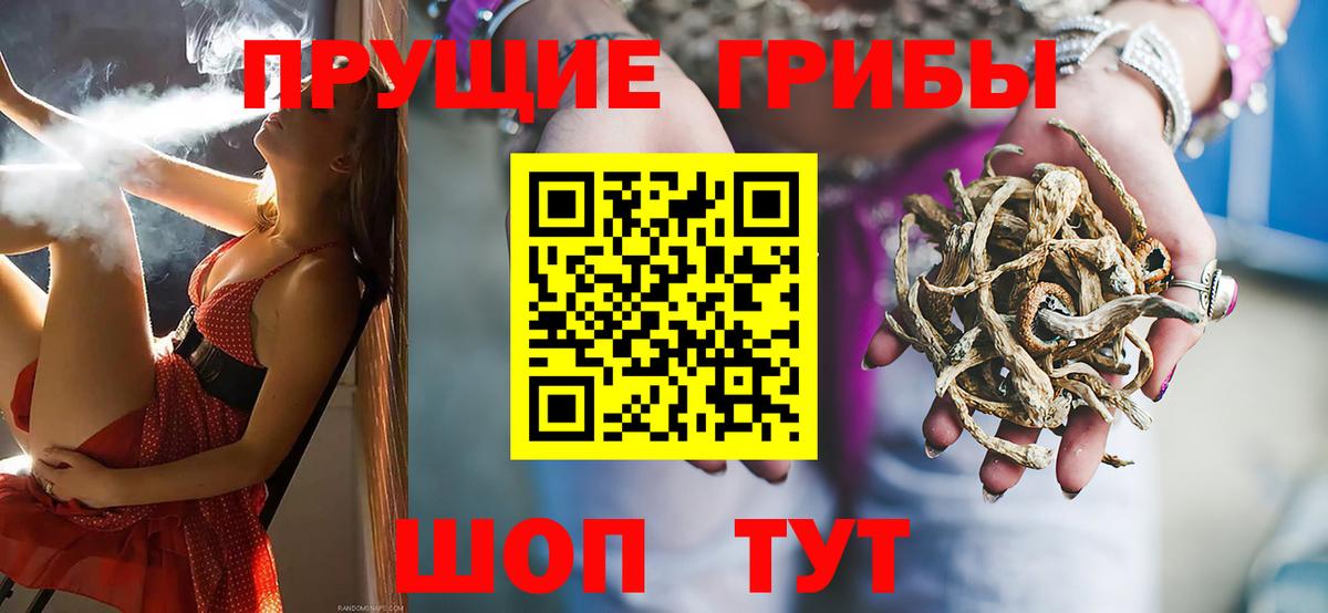Псилоцибиновые грибы прущие грибы Кисловодск